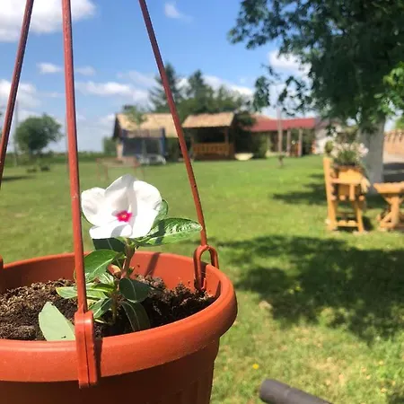 Salas Gnijezdo Bačka Palanka