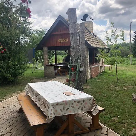 Guest house Salas Gnijezdo