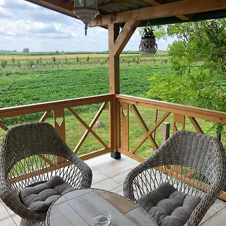 Salas Gnijezdo 招待所