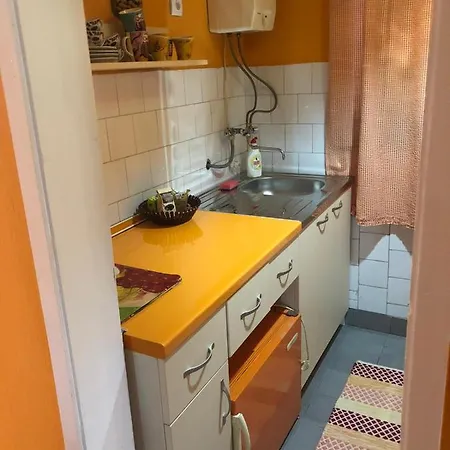 Salas Gnijezdo 招待所 4*