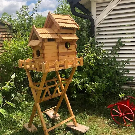 招待所 Salas Gnijezdo