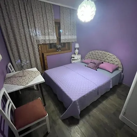 Guest house Salas Gnijezdo 4*