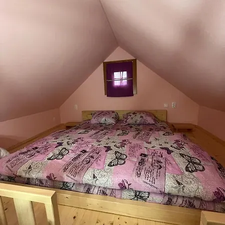 Salas Gnijezdo 招待所 4*